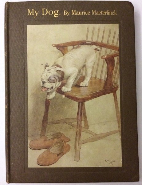 MY DOG. - Translated by A. Teixeira de Mattos. With …