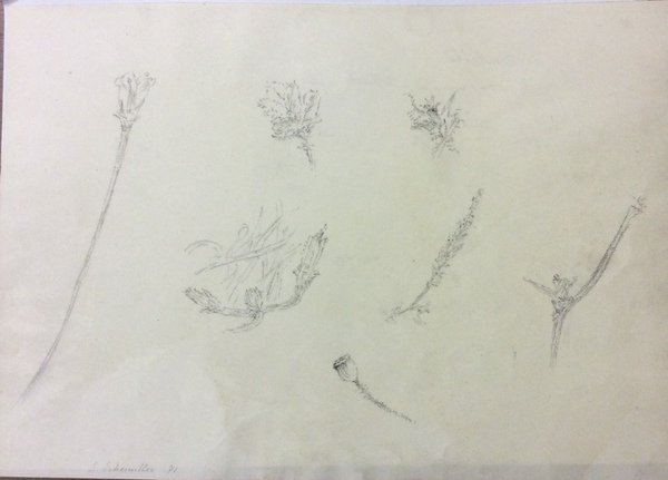 DISEGNI ORIGINALI.