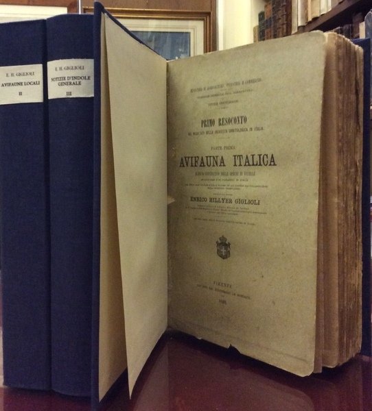 PRIMO RESOCONTO DEI RISULTATI DELLA INCHIESTA ORNITOLOGICA IN ITALIA. - …