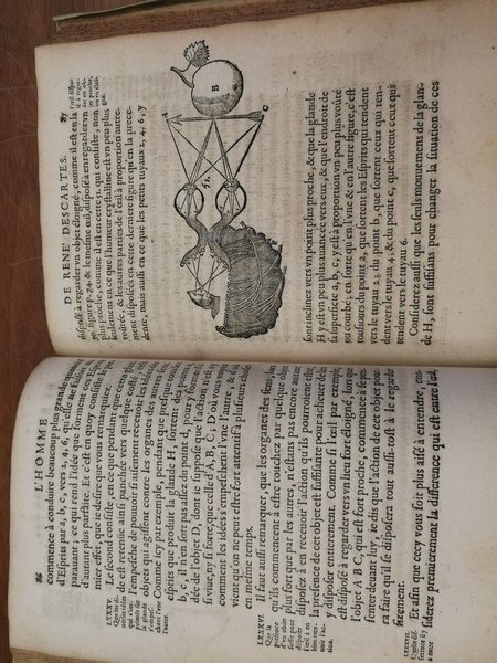 L'HOMME ET UN TRAITTE' DE LA FORMATION DU FOETUS DU …