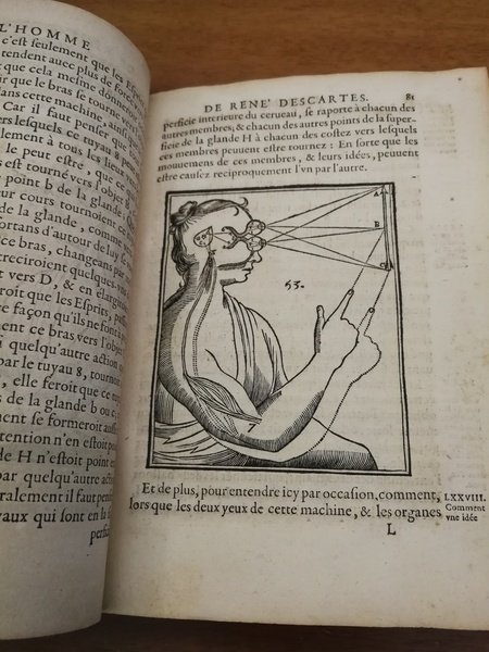 L'HOMME ET UN TRAITTE' DE LA FORMATION DU FOETUS DU …