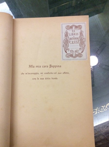 IL CASTELLO DI VIGEVANO NELLA STORIA E NELL'ARTE.