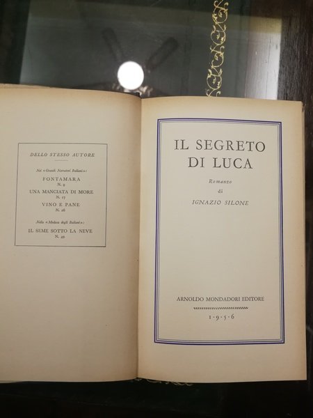 IL SEGRETO DI LUCA.