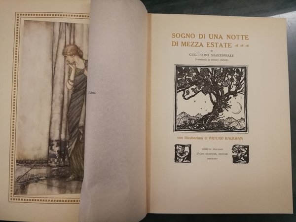Sogno Di Una Notte Di Mezza Eta SOGNO DI UNA NOTTE DI MEZZA ESTATE. - Libro