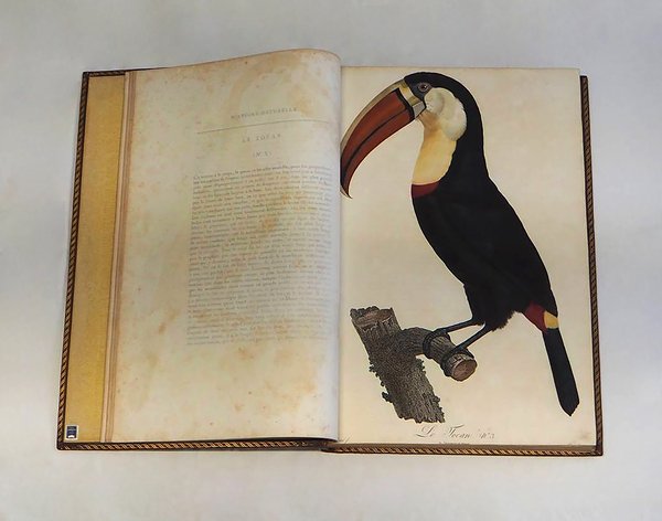 HISTOIRE NATURELLE DES OISEAUX DE PARADIS ET DES ROLLIERS SUIVIE …