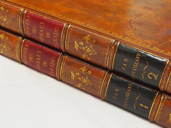 HISTOIRE NATURELLE DES OISEAUX DE PARADIS ET DES ROLLIERS SUIVIE …