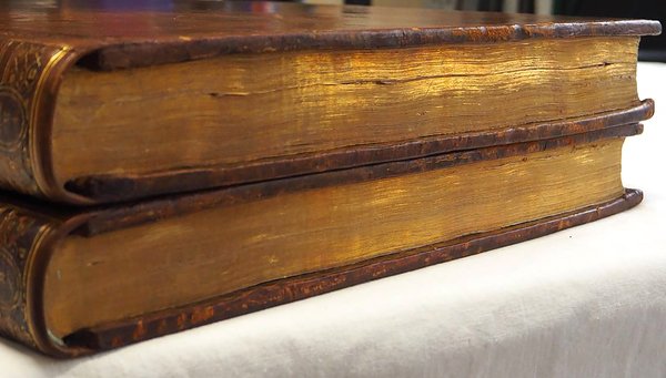 HISTOIRE NATURELLE DES OISEAUX DE PARADIS ET DES ROLLIERS SUIVIE …