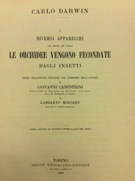 I DIVERSI APPARECCHI COL MEZZO DEI QUALI LE ORCHIDEE VENGONO …