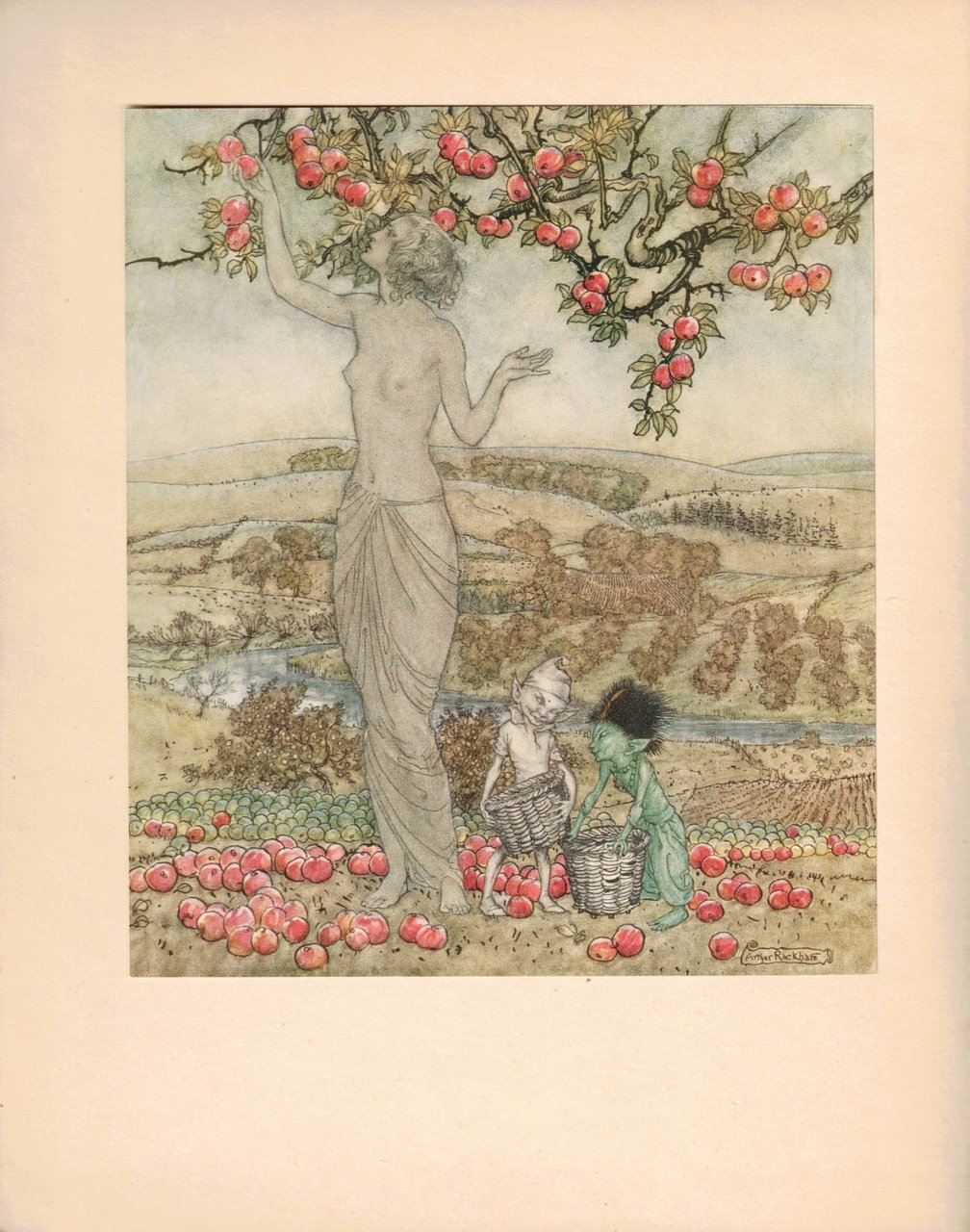 A DISH OF APPLES. - With illustrations by Arthur Rackham.