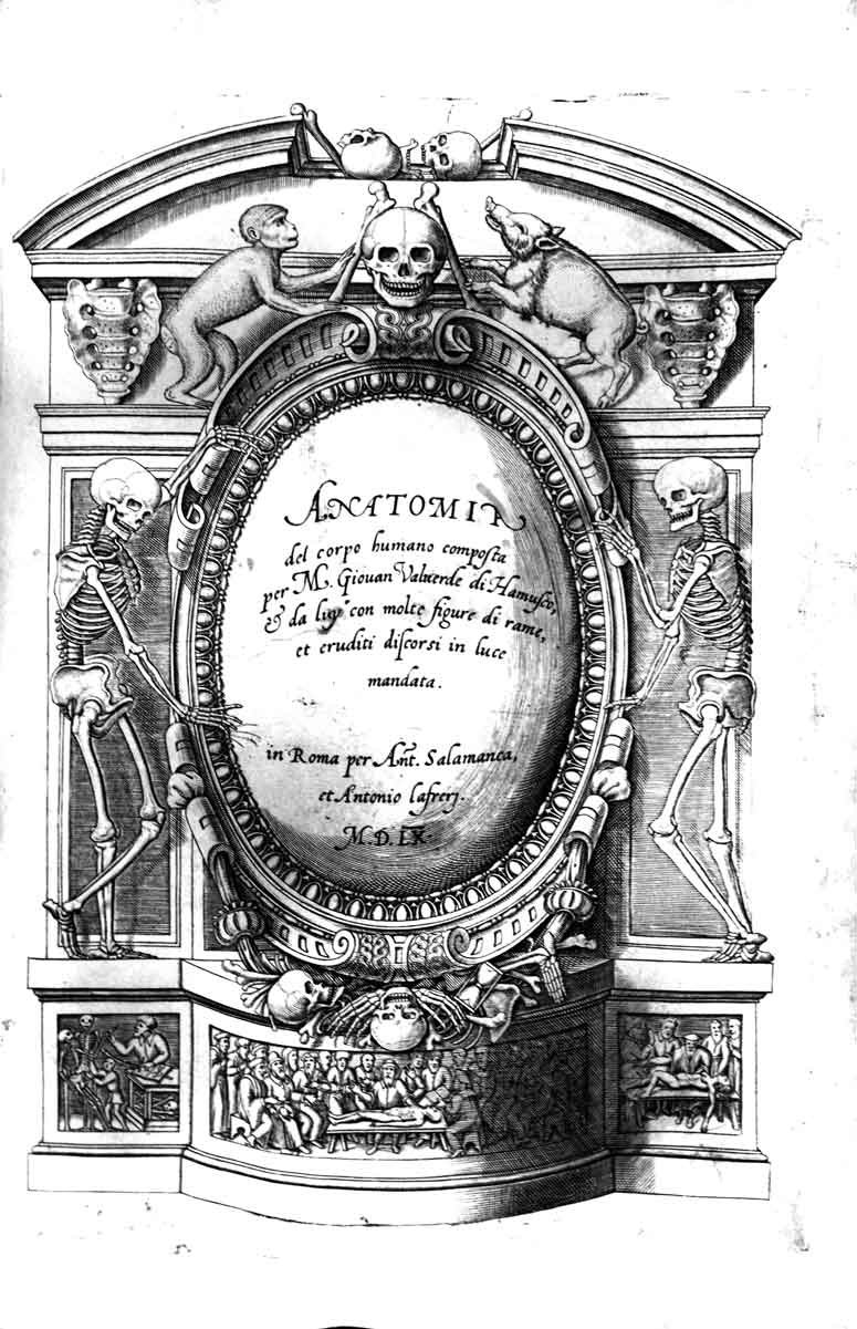ANATOMIA DEL CORPO HUMANO COMPOSTA PER M. GIOVAN VALVERDE DI …
