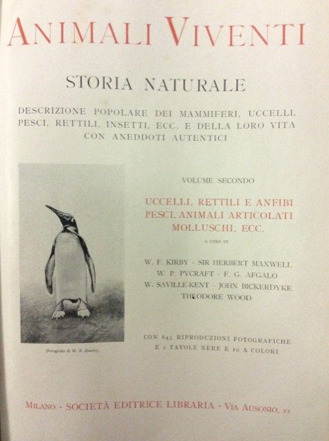 ANIMALI VIVENTI. STORIA NATURALE. DESCRIZIONE POPOLARE DEI MAMMIFERI, UCCELLI, PESCI, …