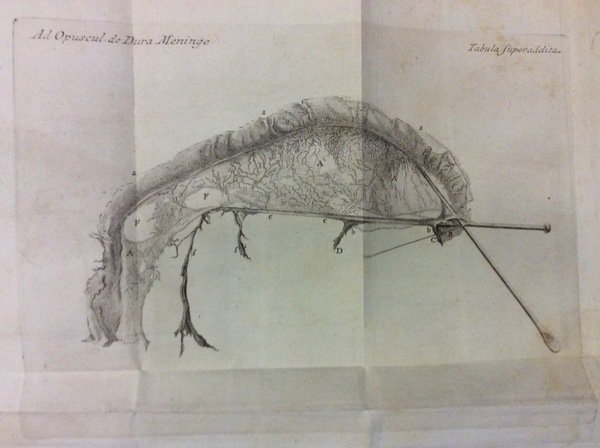 ANTONII PACCHIONI REGIENSIS MEDICI, & ANATOMICI ROMANI OPERA. - Editio …