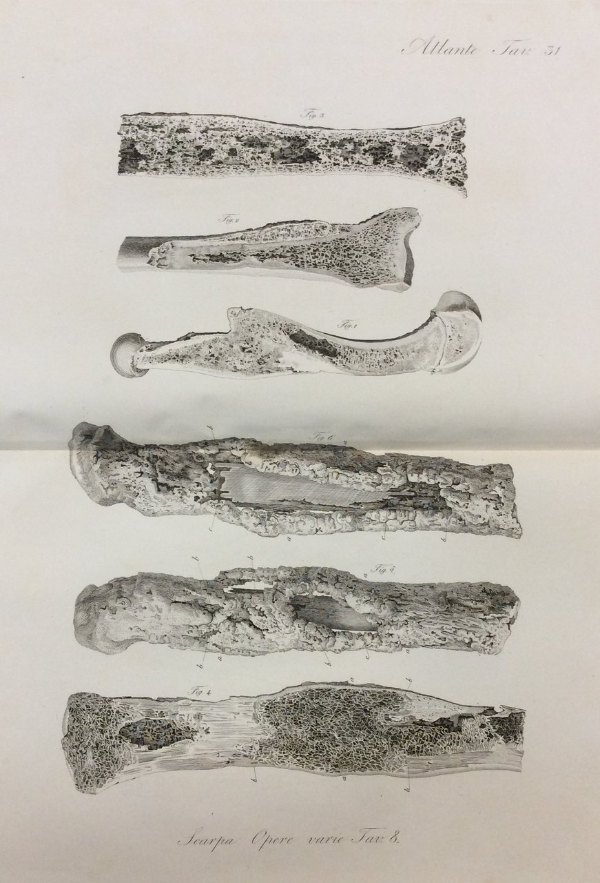 ATLANTE DELLE OPERE COMPLETE. - Volume unico.