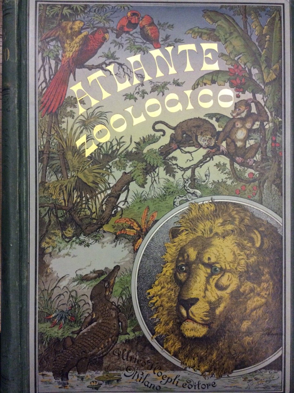 ATLANTE ZOOLOGICO. - Diviso in tre parti. Parte prima: Mammiferi. …