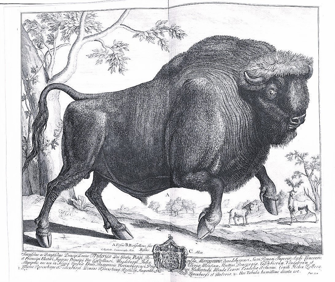 C. JULII CAESARIS QUAE EXTANT. ACCURATISSIME CUM LIBRIS EDITIS & …