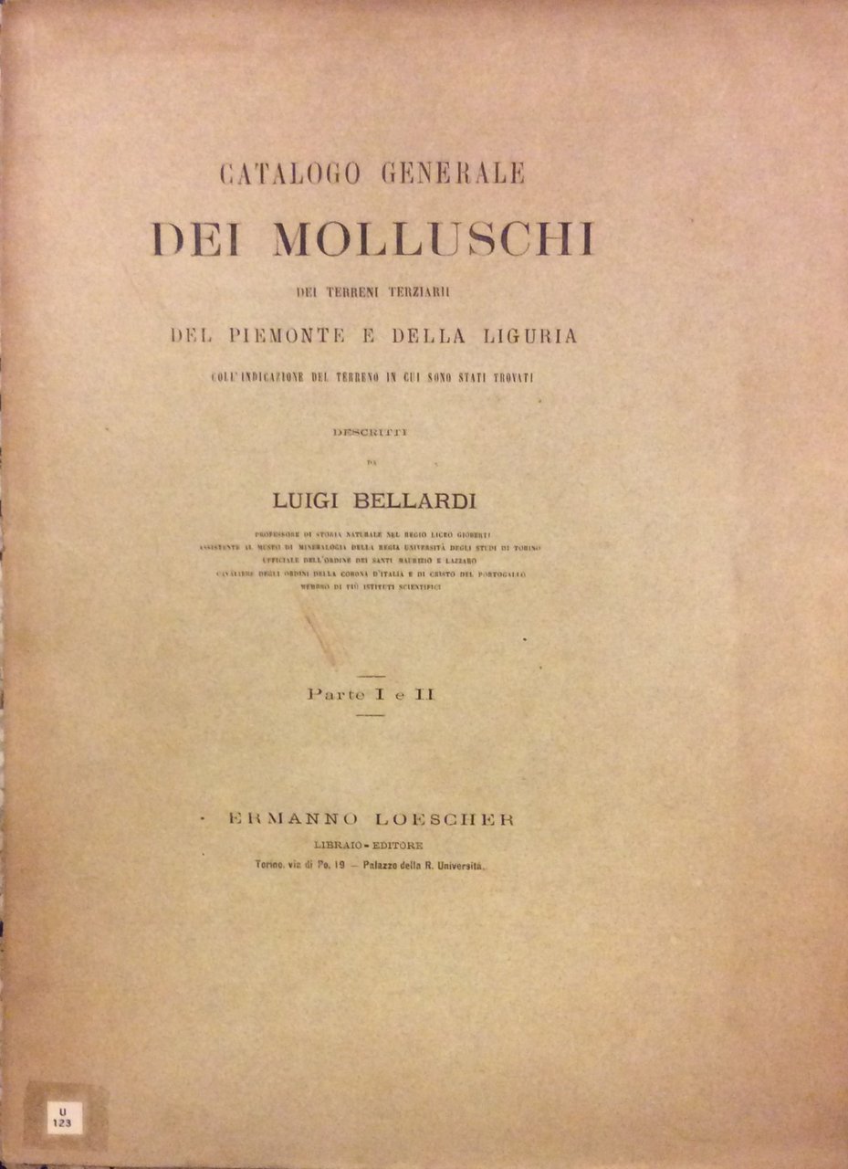 CATALOGO GENERALE DEI MOLLUSCHI DEI TERRENI TERZIARI DEL PIEMONTE E …