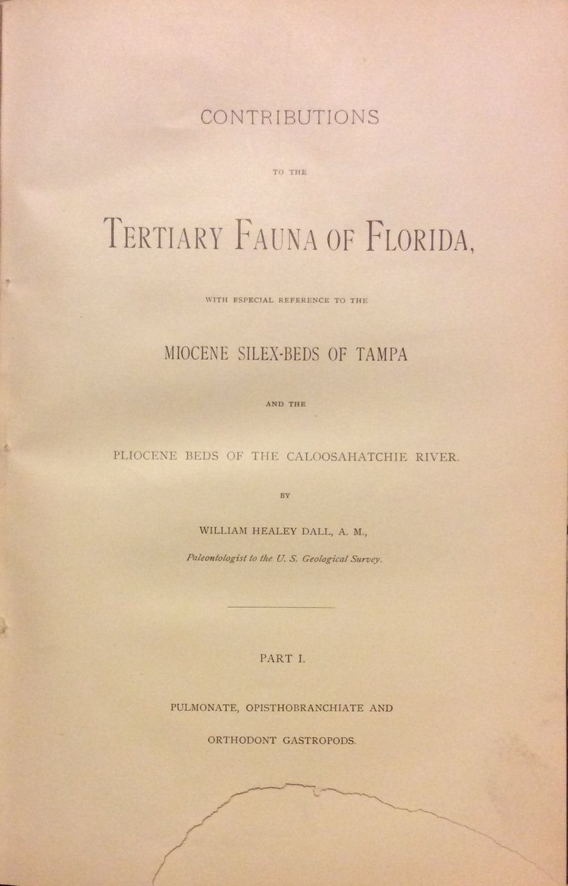 CONTRIBUTIONS TO THE TERTIARY FAUNA OF FLORIDA WITH SPECIAL REFERENCE …