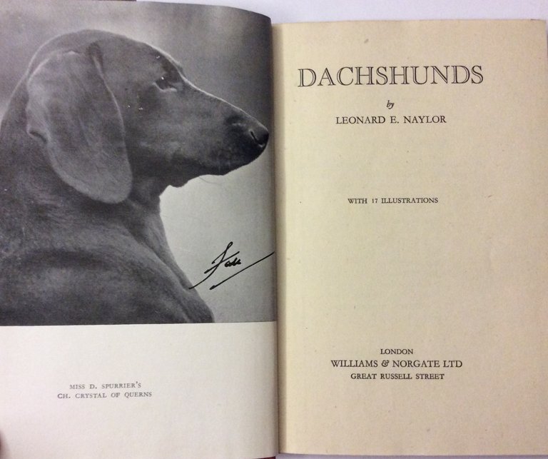 DACHSHUNDS. - With 17 illustrations.