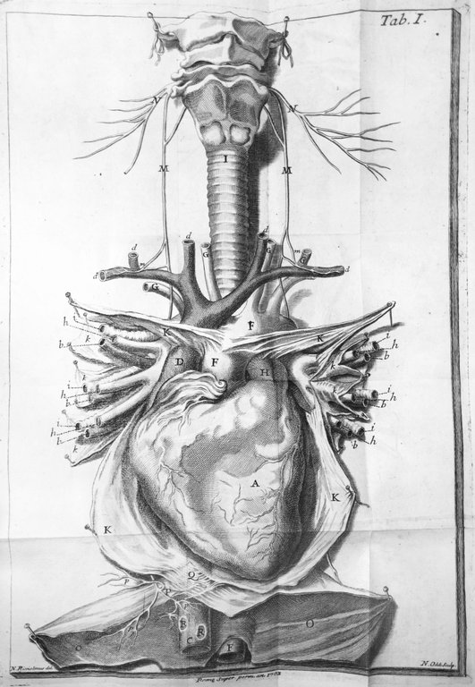 DE MOTU CORDIS ET ANEURYSMATIBUS. - Opus posthumum in duos …