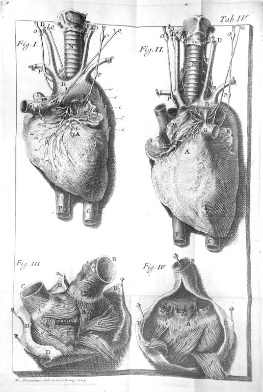 DE MOTU CORDIS ET ANEURYSMATIBUS. - Opus posthumum in duos …