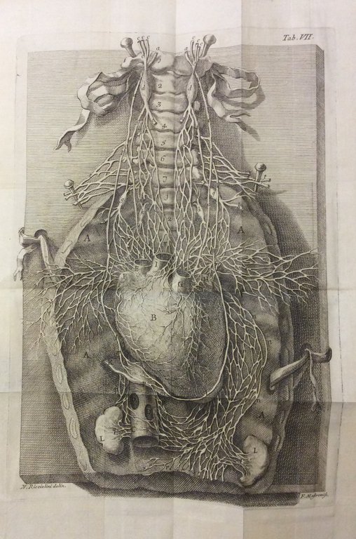 DE MOTU CORDIS ET ANEURYSMATIBUS. - Opus posthumum in duos …