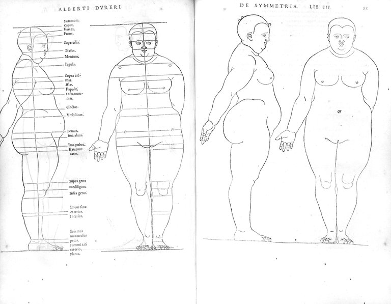 DE SYMMETRIA PARTIUM HUMANORUM CORPORUM LIBRI QUATUOR, E' GERMANICA LINGUA, …