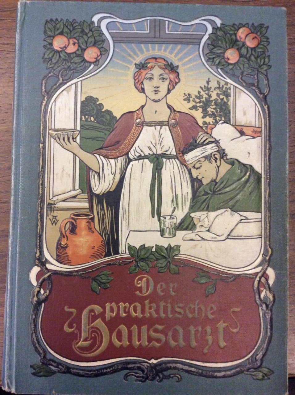 DER PRAKTISCHE HAUSARZT. - Ein getreuer Ratgeber fur Jung und …