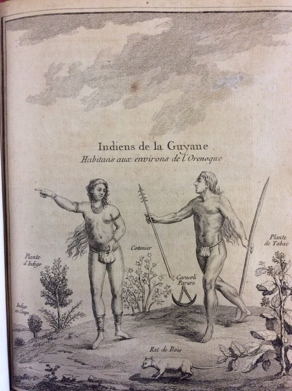 DESCRIPTION GEOGRAPHIQUE DE LA GUYANE.