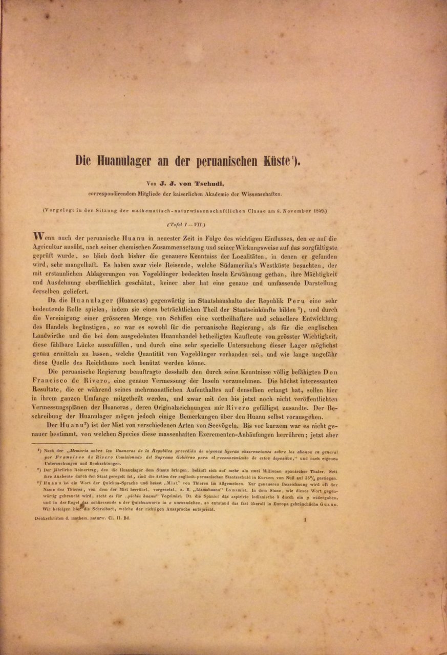 DIE HUANULAGER AN DER PERUANISCHEN KUSTE.