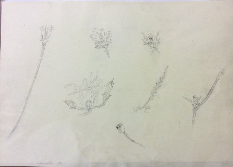 DISEGNI ORIGINALI.
