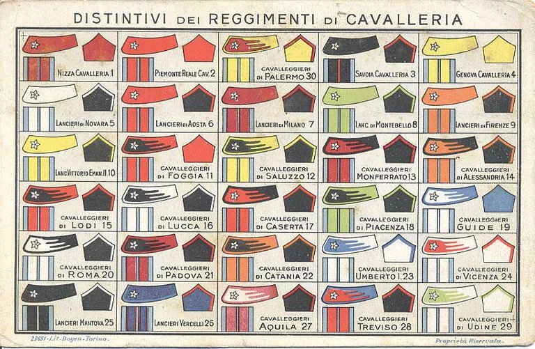 DISTINTIVI DEI REGGIMENTI DI CAVALLERIA.