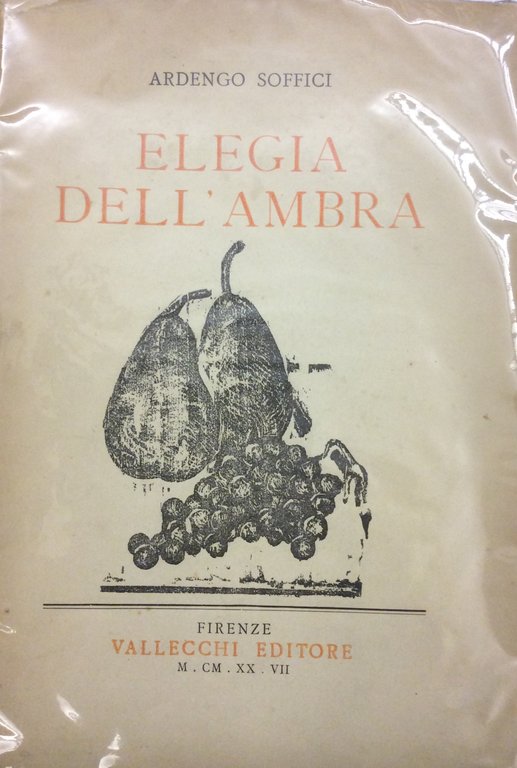 ELEGIA DELL'AMBRA.