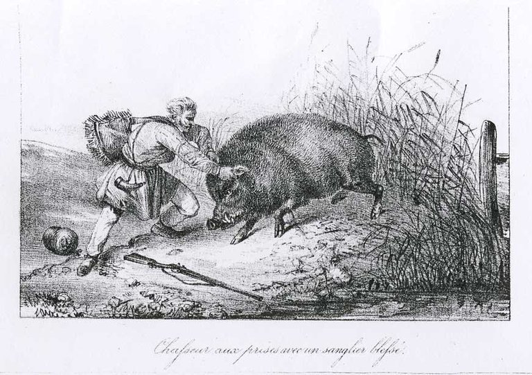 GUIDE ET HYGIENE DES CHASSEURS. - Avec des additions de …