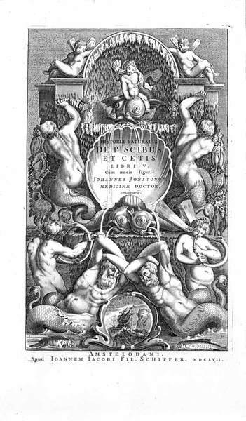 HISTORIAE NATURALIS DE PISCIBUS ET CETIS, LIBRI V. - Cum …