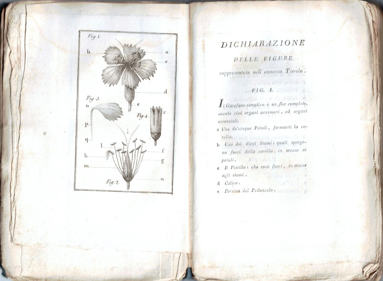 I MISTERI DI FLORA. - Opuscolo dedicato al bel sesso.