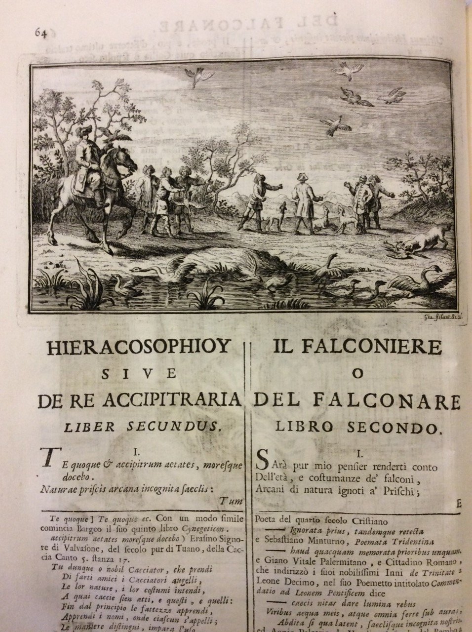 IL FALCONIERE. - Dall'esametro latino all'endecasillabo italiano trasferito, ed interpretato. …