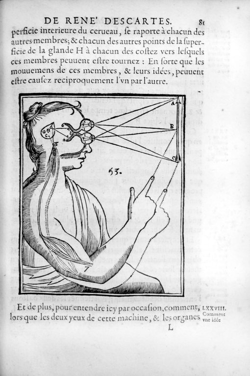 L'HOMME ET UN TRAITTE' DE LA FORMATION DU FOETUS DU …