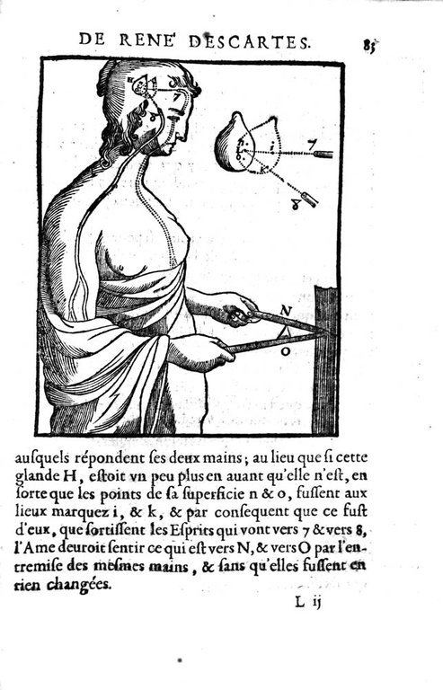 L'HOMME ET UN TRAITTE' DE LA FORMATION DU FOETUS DU …