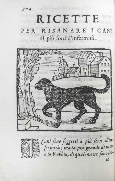 LA CACCIA. - Di Giacomo di Foglioso, scudiero e signore …