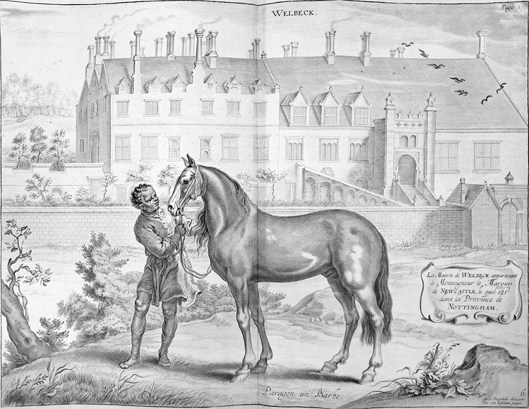 LA METHODE NOUVELLE & INVENTION EXTRAORDINAIRE DE DRESSER LES CHEVAUX. …