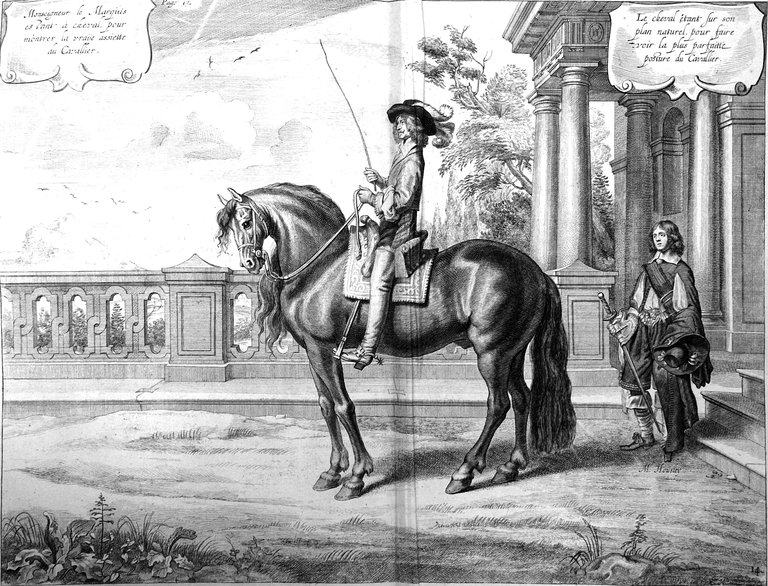 LA METHODE NOUVELLE & INVENTION EXTRAORDINAIRE DE DRESSER LES CHEVAUX. …