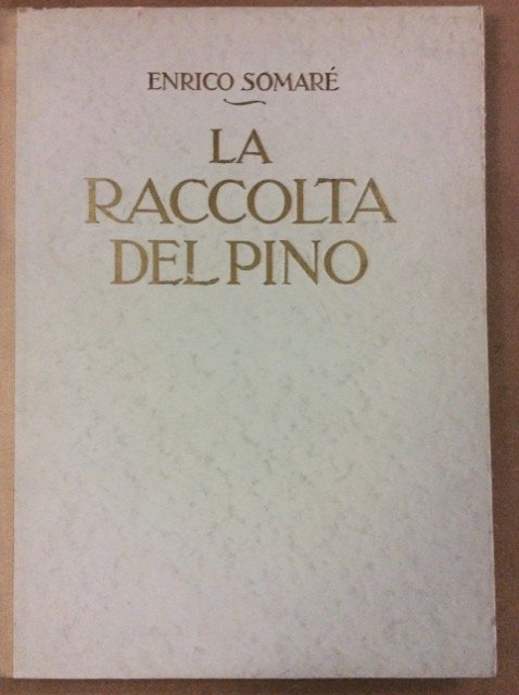LA RACCOLTA DEL PINO.