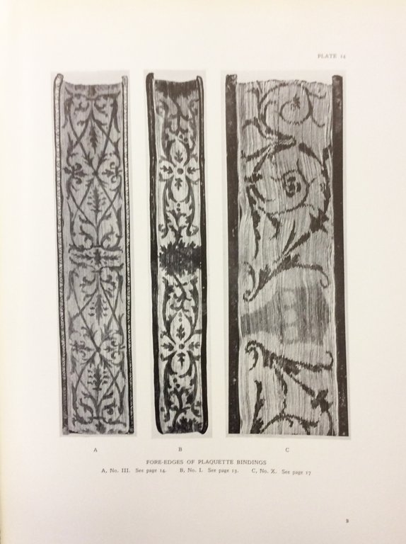 MAIOLI, CANEVARI AND OTHERS.