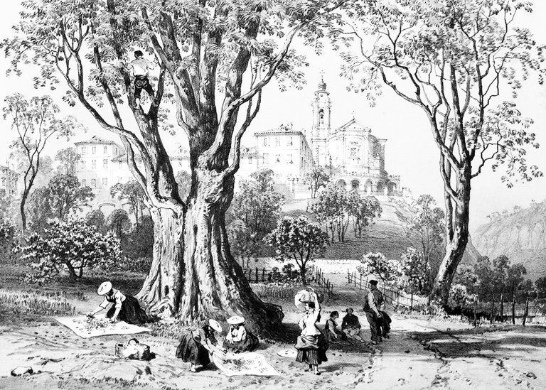 NICE ET SAVOIE: TROISIEME PARTIE - DEPARTEMENT DES ALPES-MARITIMES. - …