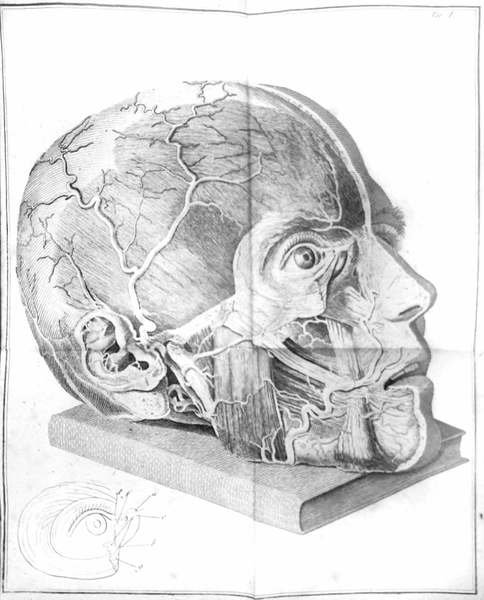 SAGGIO DI OSSERVAZIONI E D'ESPERIENZE SULLE PRINCIPALI MALATTIE DEGLI OCCHI. | Immagine principale