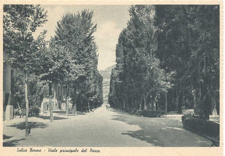 SALICE TERME. VIALE PRINCIPALE DEL PARCO.