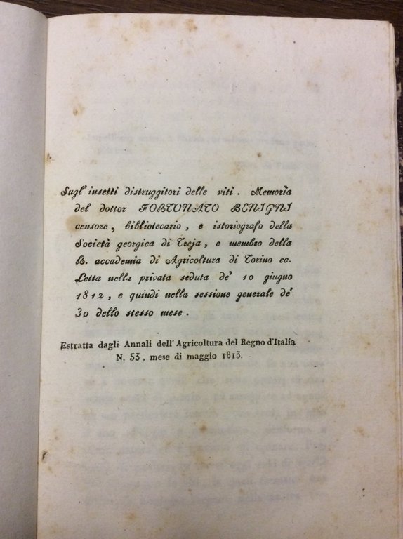 SUGL'INSETTI DISTRUGGITORI DELLE VITI. - Memoria letta nella privata seduta …