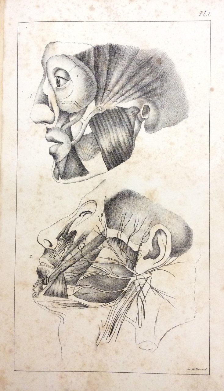 TRAITÈ COMPLET DE L'ART DU DENTISTE. - D'après l'état actuel …