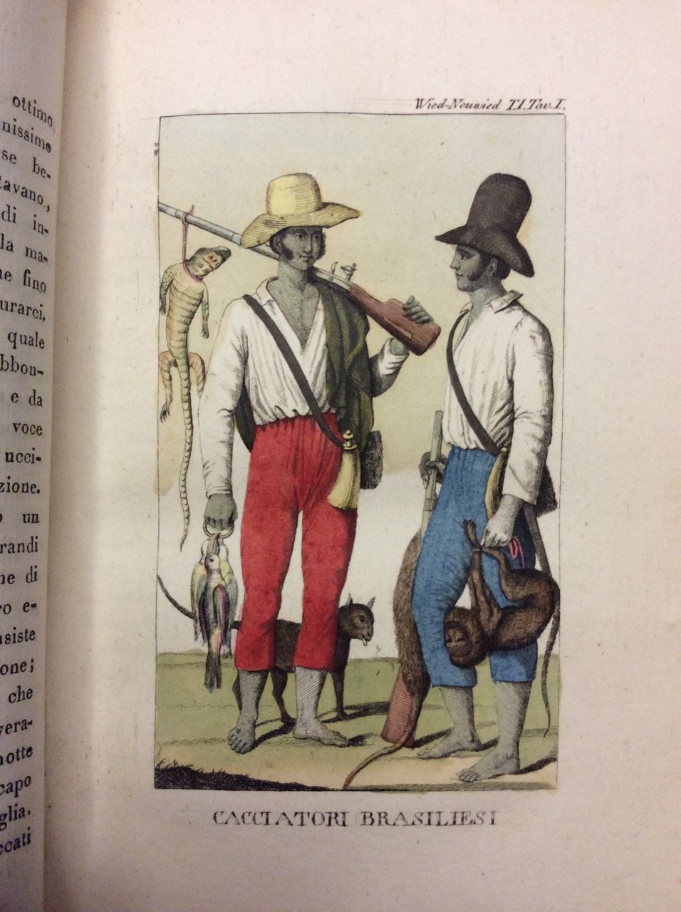 VIAGGIO AL BRASILE NEGLI ANNI 1815, 1816 E 1817 DEL …