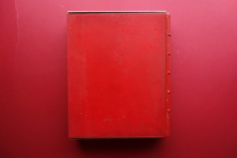 Ludovico Ariosto Orlando Furioso Bacchelli Clerici Electa Milano 1967 158 Tavole